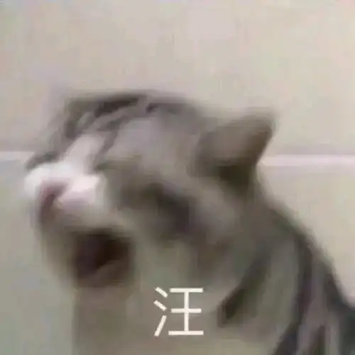 不要点进来这是个低质量头像分享
