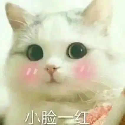 不做自卑猕猴桃,要做百变穿搭王