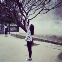 测试一个超长简介的文章