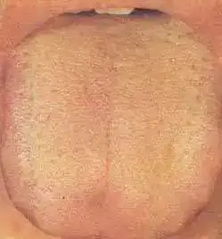 测试一个超长简介的文章