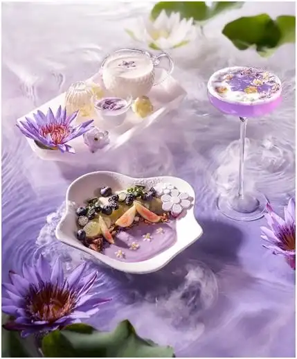 tomacado花厨夏日花园,与你美好相莲