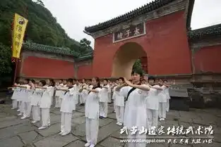 暑期武术夏令营少年者说