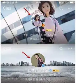 一个被传洗掉爱的纹身另一个谈享受孤独,张继科景甜的分手锤越来越实了