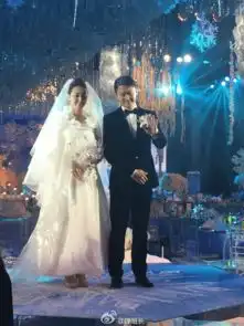 小天遭曝遭骗婚损失千万幸福结婚典礼仿佛在昨日