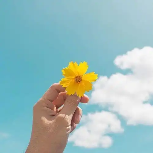 发朋友圈的早安心语图片,温暖阳光,百读不厌