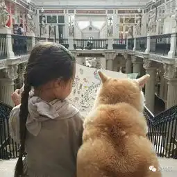 养只宠物做二家长吧