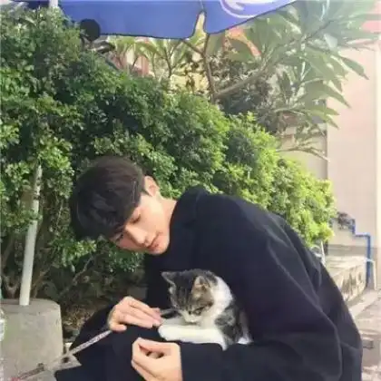 测试一个超长简介的文章