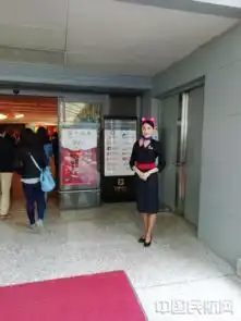 东航迪士尼皮克斯玩具总动员彩绘机首航