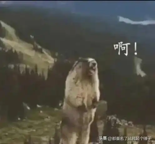 锤子讲故事94