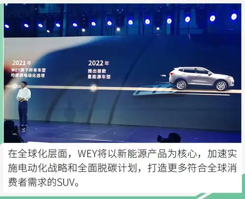 2025年挑战年销30万辆wey正向全球化品牌进阶