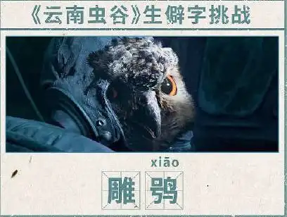夭寿了看云南虫谷好像在上语文课
