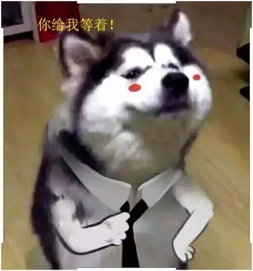 男子去接大病初愈的二哈,接上车后,狗子的举动令主人笑喷
