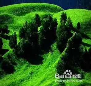 你以为的好习惯,可能都是毒药,害了自己都不知道