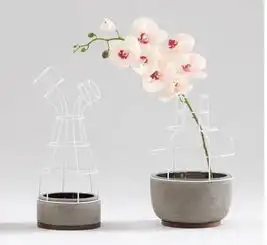 设计师加的创意家居处处彰显个性与品味
