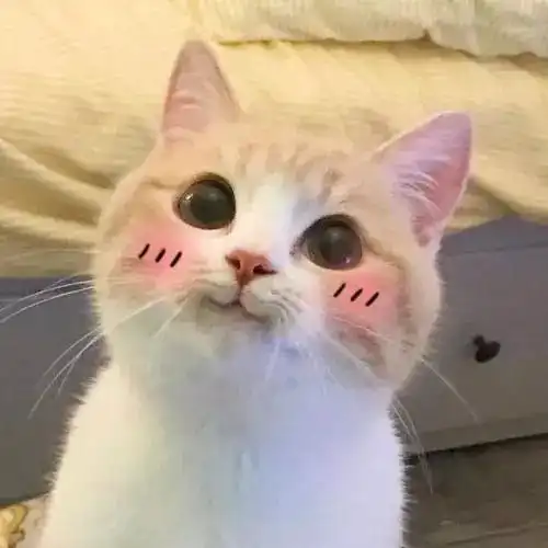 ysl转型兰芝,所以兰芝来转型阿玛尼小胖丁吗