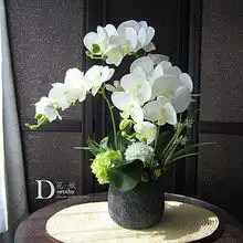 ijaouk54368喜欢的宝贝杂志