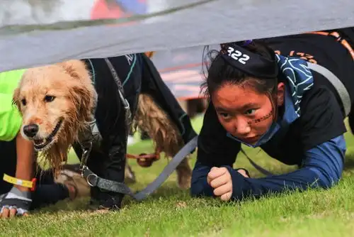 与爱犬做队友共同挑战狗巴迪勇士赛上海站开启