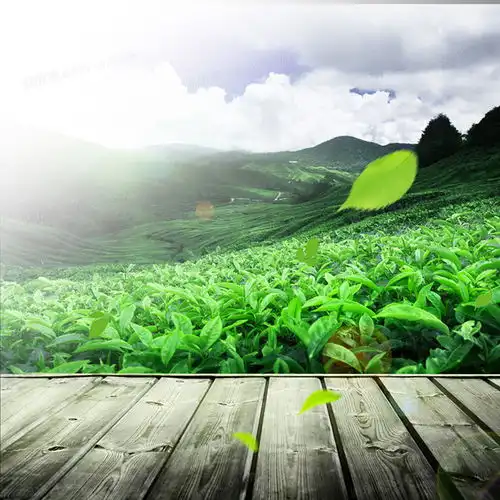 自然背景图片下载免费高清自然背景设计素材图精灵