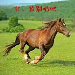 骏马奔驰保边疆
