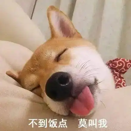 大意了以为主人不在家,狗子彻底放飞自我,结果被抓个正着