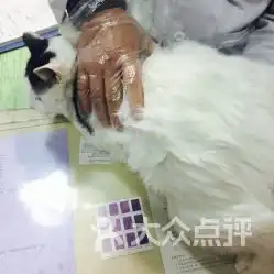 宠缘动物医院