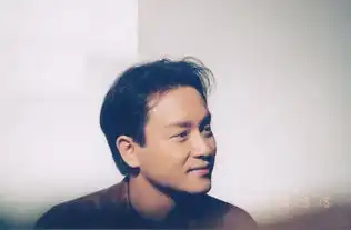 十五载风继续吹,三十年像同度过