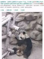测试一个超长简介的文章