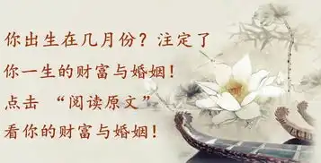 测试一个超长简介的文章
