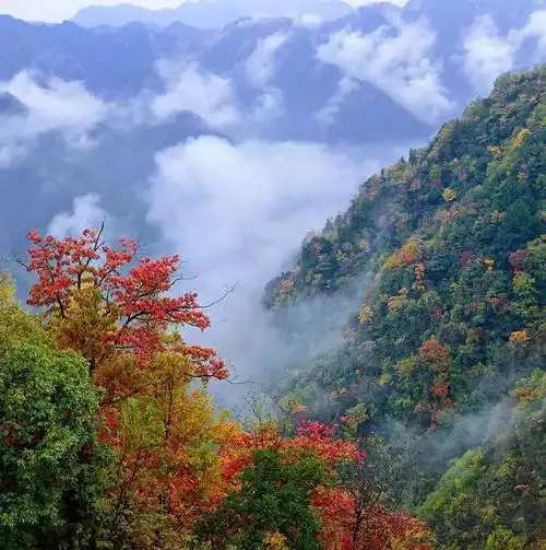 距三省之门户,这个大巴山深处的小县,藏着世界原本的样子