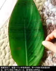 测试一个超长简介的文章