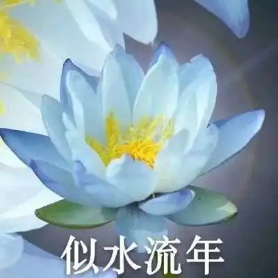 测试一个超长简介的文章