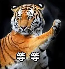 老虎不发威...就是橘猫啊
