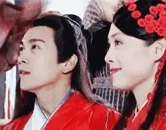 宁静人美演技棒,也是个百搭体质,但她的cp都太意难平了吧