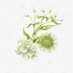 小清新手绘花朵装饰素材图片免费下载高清psd千库网图片编号10011326