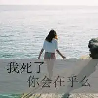 你要的幸福我给不起文字头像3
