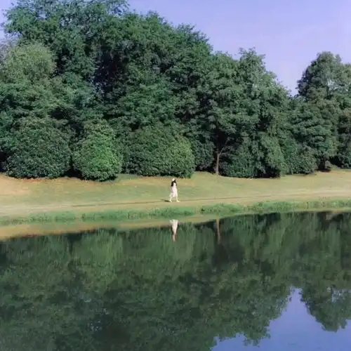 适合发朋友圈的文艺唯美小清新文案