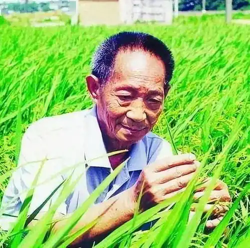 测试一个超长简介的文章