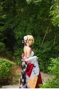 saber仙鹤cos