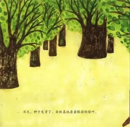 深度好文孩子是一颗千年的种子0916