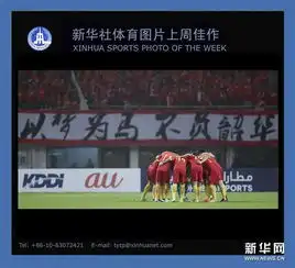 新华社体育图片上周最佳