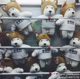 我可能遭遇了个屏幕里都透出一股子鱼腥味