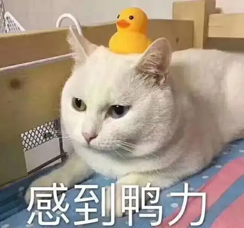 开心一刻笑话大一时,我宿舍有一个来自农村的学生