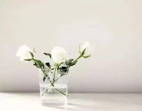 生活不简单,那么我们何不简单过