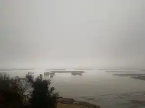 测试一个超长简介的文章