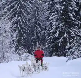 打印7个地方带你体验真正的冰雪奇缘视界网重庆网络广播电视台重庆最大的影视音频门户网