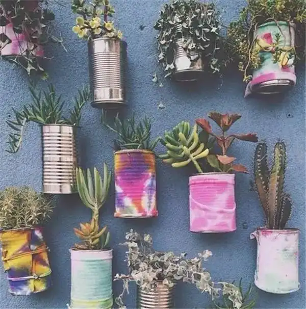 植物角参考,高逼格养花,创意来源于生活