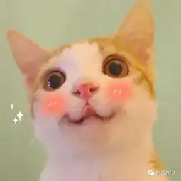 哎呦喂我的头像不要和别人一个样