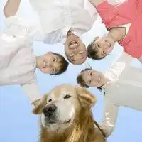四个人的搞笑头像微信头像图片大全