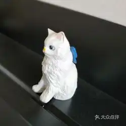 电话,地址,价格,营业时间北京宠物