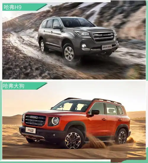 韧性突围长城汽车起飞背后的自我修炼